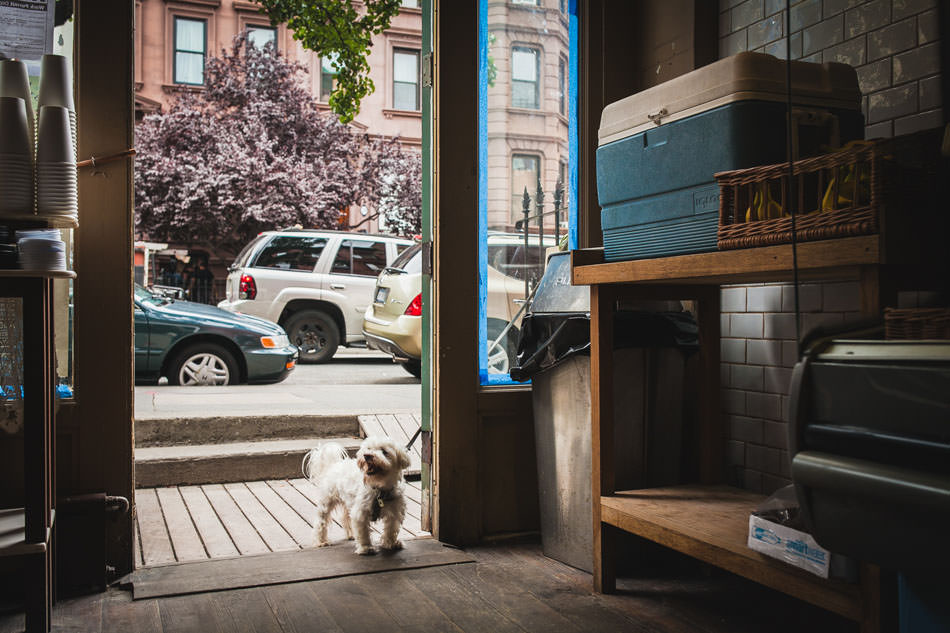 72-hours-in-brooklyn-with-oriana-koren-replichrome-totally-rad-42873.jpg