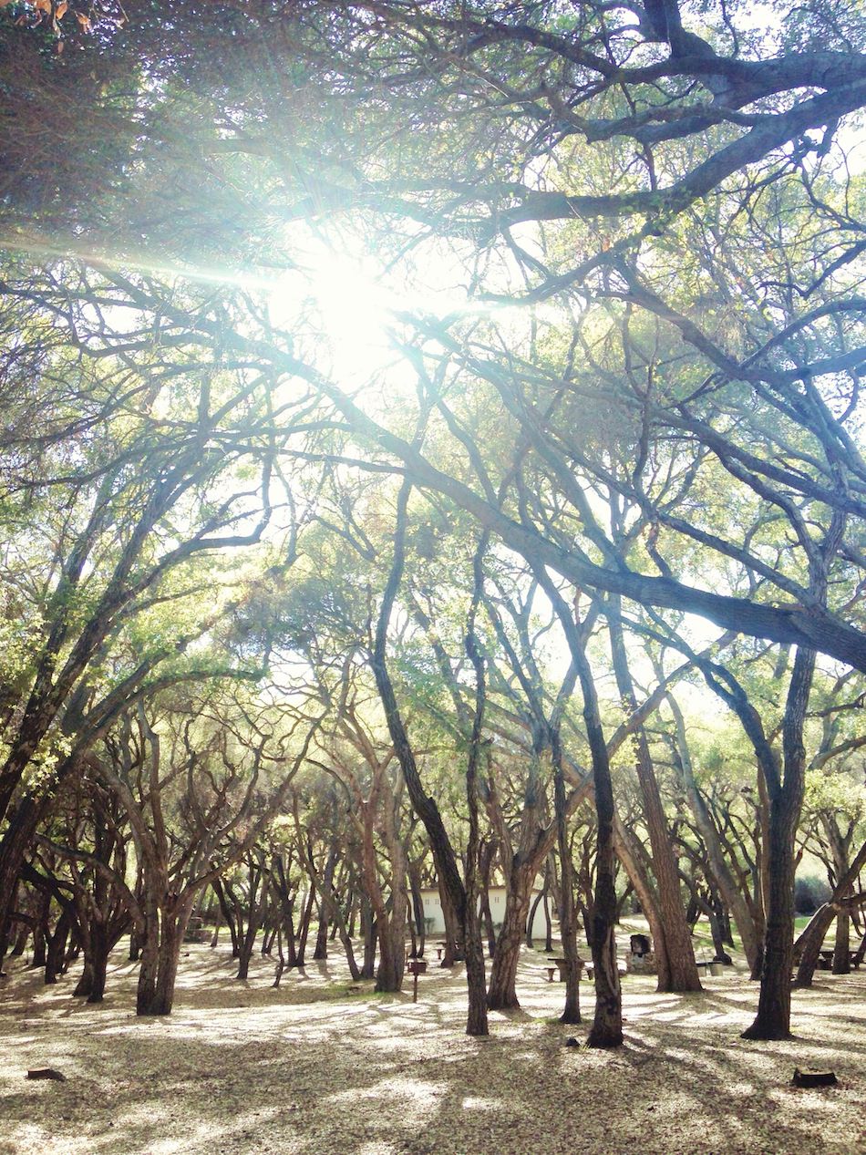 AMANDAJULCA-IPHONE-PICTAPGO-14.jpg