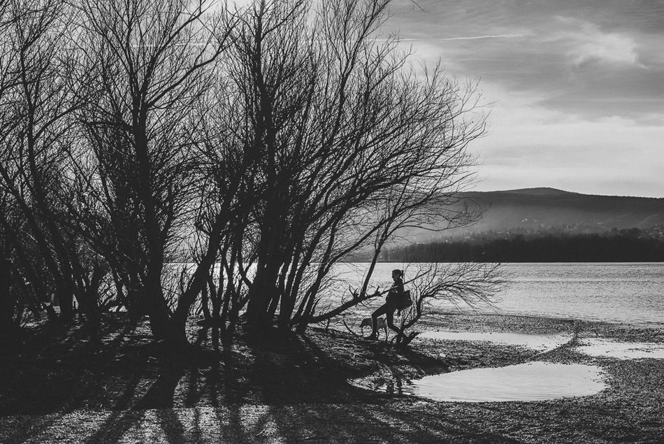 gabormuray_replichrome_series_danube_02.jpg