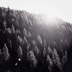 FULL OF BEAUTIFUL LIGHT
